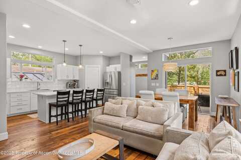 55 Bear Trail, Aspen, CO 81611