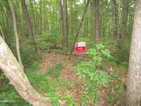 00 Ridge View Lane, Martinsburg, PA 16662