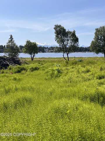 L45 Dahl Way, Homer, AK 99603