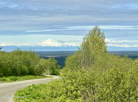 65310 Knob Hill Road, Anchor Point, AK 99556