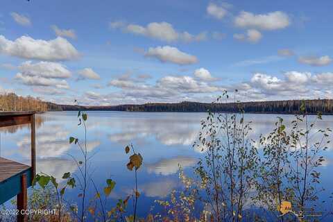 46368 S Fishermans Hop Road, Willow, AK 99688