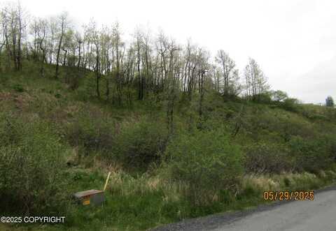 11400 Bells Flats Road, Kodiak, AK 99615