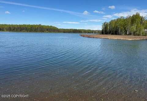 16563 E Nichols Drive, Talkeetna, AK 99676