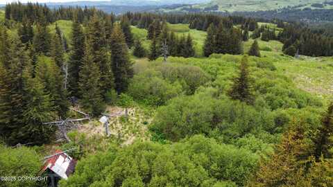 40170 Talley Street, Homer, AK 99603