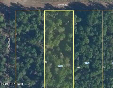 19922 E Tackle Avenue, Willow, AK 99688