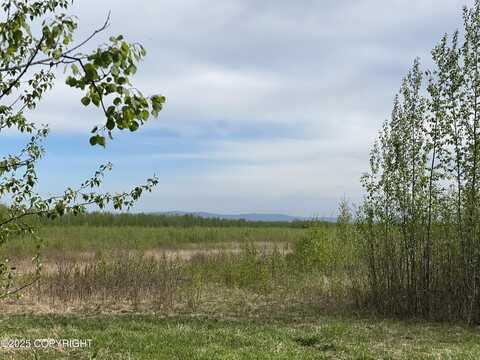 Tr S1 Barley Way, Delta Junction, AK 99737