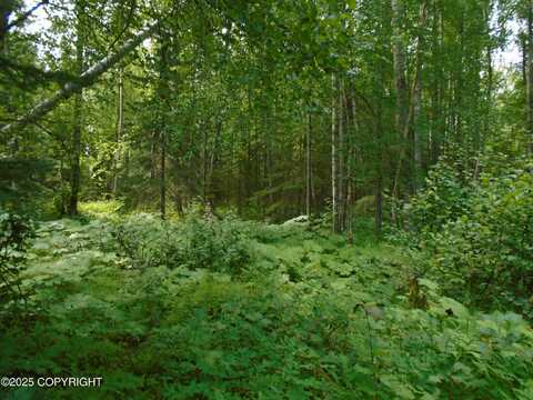 15032 W Necrason Drive, Big Lake, AK 99652