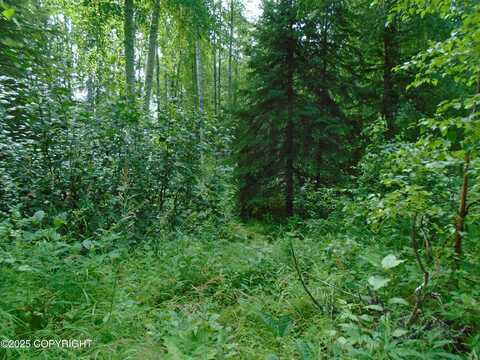 15032 W Necrason Drive, Big Lake, AK 99652