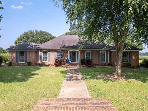 1590 GEORGE PERRY RD, Parrot, GA 39877