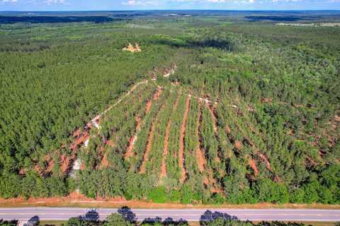 80 Acres Columbia Highway N, Ridge Spring, SC 29129