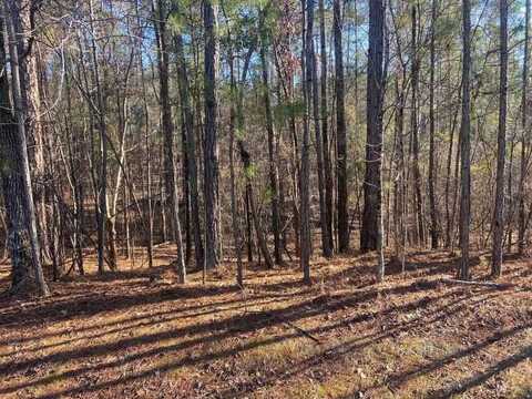 0 Colonial Lane, Mc Cormick, SC 29835