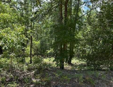 Tbd Watermelon Lane, Barnwell, SC 29812