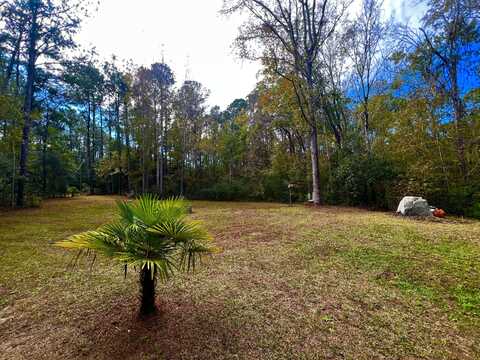 7810 Turtle Hill Ln, Edisto Island, SC 29438