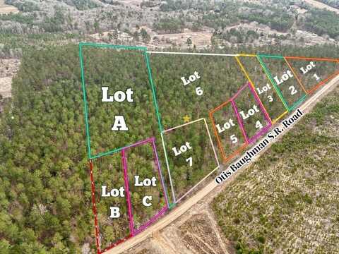 06 Otis Baughman S.R. Road, Wagener, SC 29164