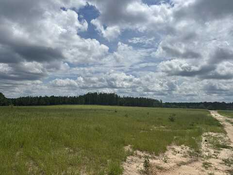 00 /Tbd Snipes Pond Rd, Aiken, SC 29805