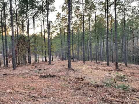 0 Camp Rawls Road, Aiken, SC 29801