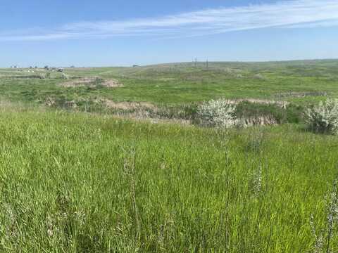 10650 386th Avenue, Frederick, SD 57441
