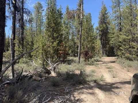 Bear Flat Road, Chemult, OR 97731