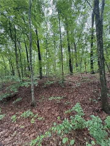 12 Shildon CIR, Bella Vista, AR 72714