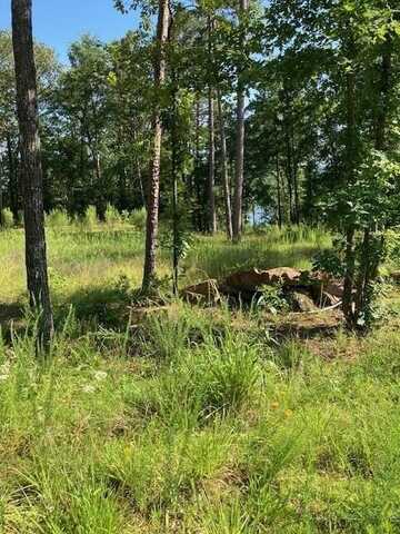 149 Woodland Shores, CLINTON, AR 72031