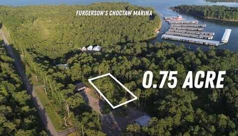 149 Woodland Shores, CLINTON, AR 72031