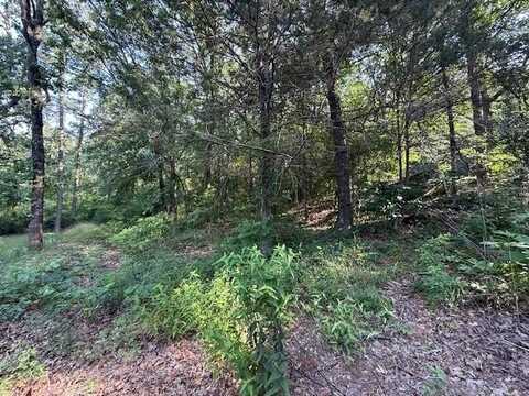 Needles CT, Dardanelle, AR 72834