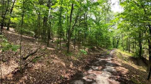 000 Long Gum LN, Russellville, AR 72802