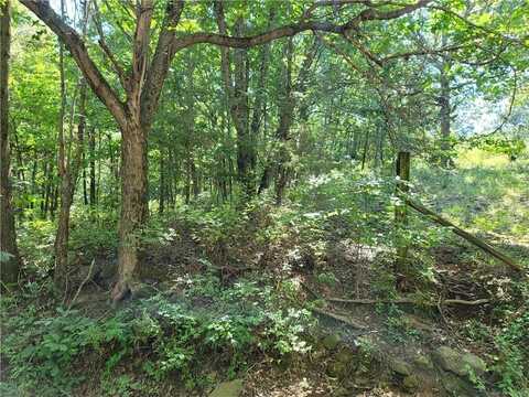 156 Pinehaven DR, Winslow, AR 72959