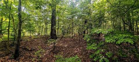 Peebles CIR, Bella Vista, AR 72715