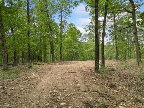 TBD Morgan Cave RD, Harrison, AR 72601