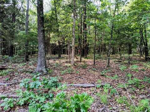 Taylor Barnett RD, Garfield, AR 72732