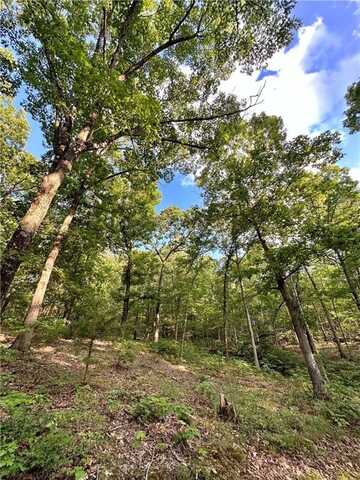 TBD 11.42 Acres Slaty Gap RD, West Fork, AR 72774