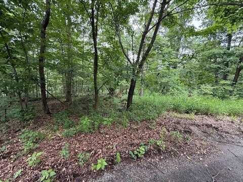 Rori LN, Bella Vista, AR 72715