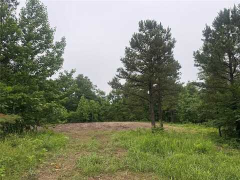 Lot#2 NC 3050, Jasper, AR 72641