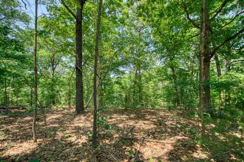 Pine Ridge Lane / C ST, Eureka Springs, AR 72631
