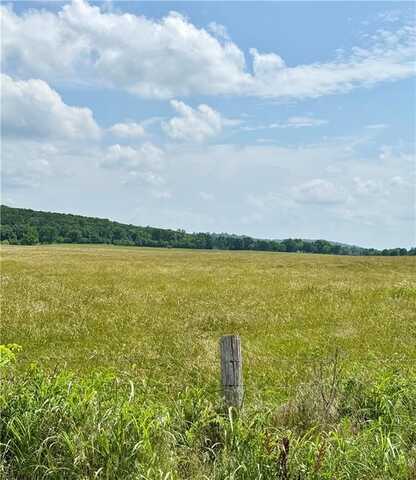 Tract C Wolf Track RD, Summers, AR 72769