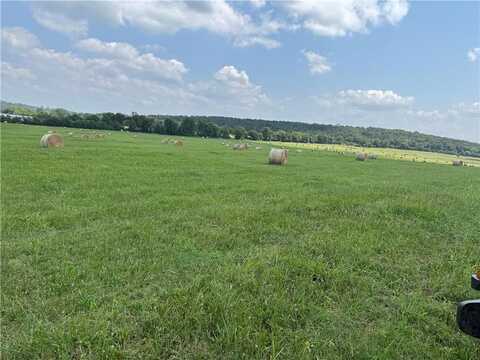 Tract C Wolf Track RD, Summers, AR 72769