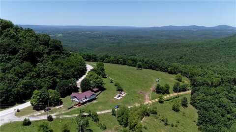 HC 32 Box 310, Mt Judea, AR 72655