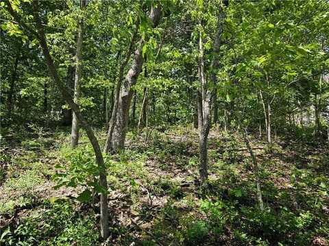 TBD Kenninghall LN, Bella Vista, AR 72715