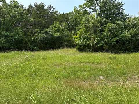 000 Somonauk DR, Diamond City, AR 72630