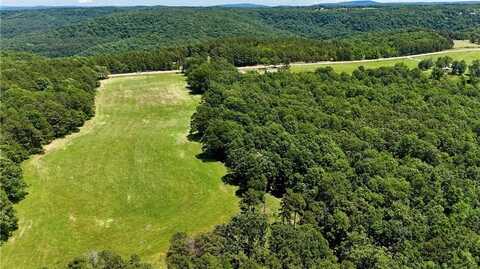 30 acres Highway 21, Ozone, AR 72854