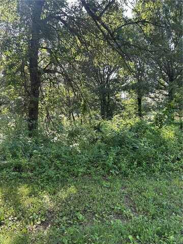 4019 Savannah DR, Harrison, AR 72601