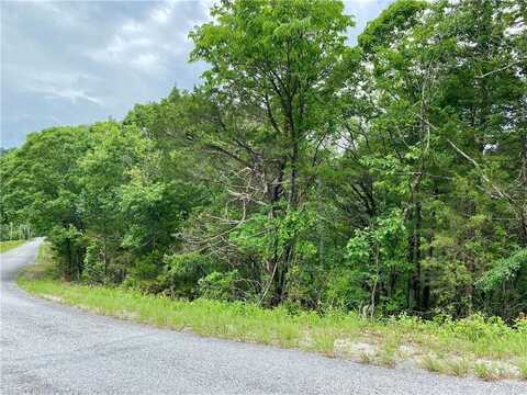 35 Sunrise AVE Unit #UNIT:4-1-3, Holiday Island, AR 72631
