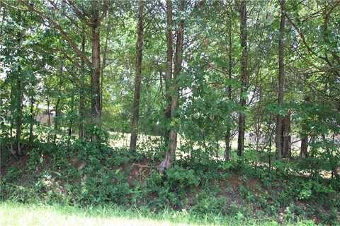 Lot 19 Rachel Circle Rachel, Dover, AR 72837