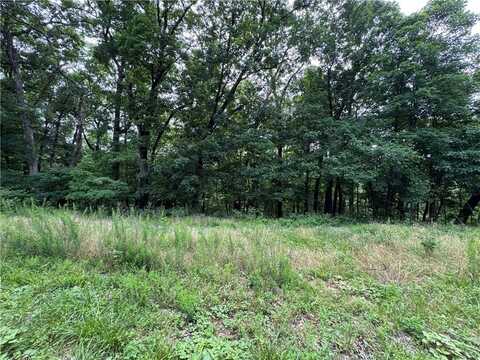Mercury LN, Holiday Island, AR 72631