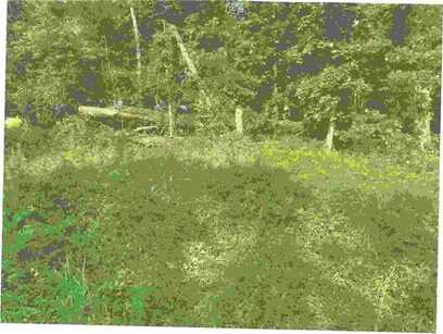 Argyll DR, Bella Vista, AR 72715