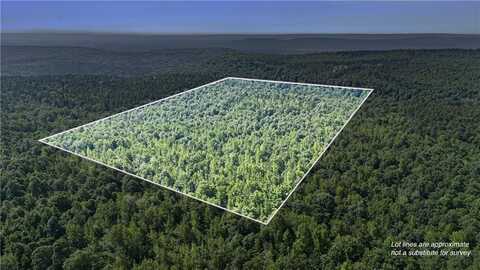 000 Bear Hollow, Magazine, AR 72855