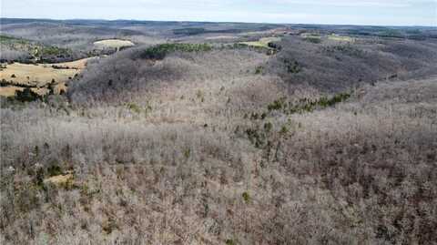 Holly Mountain RD, CLINTON, AR 72031