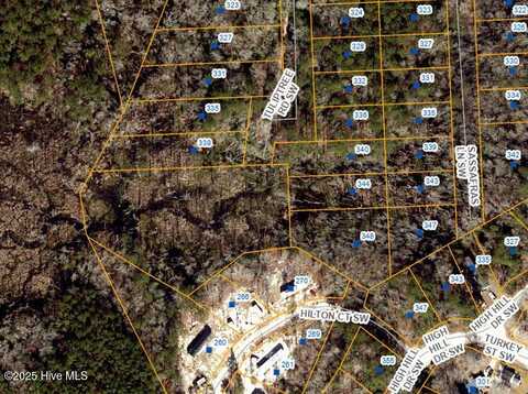 348 Tuliptree Road SW, Supply, NC 28462