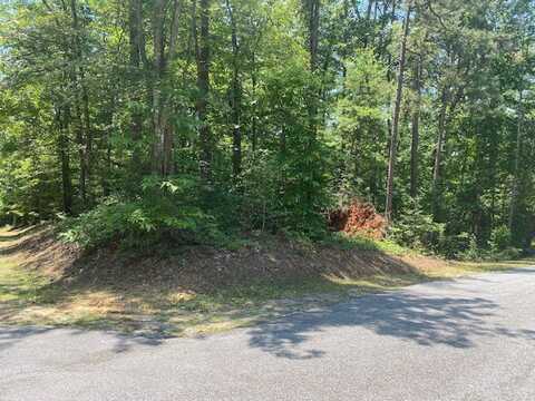 Lot 36 Turtlehead Drive, Salem, SC 29676